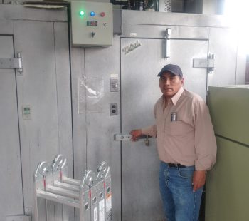 Profesionales a domicilio